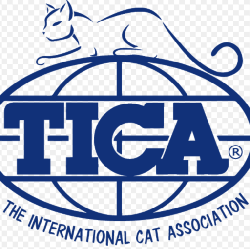TICA